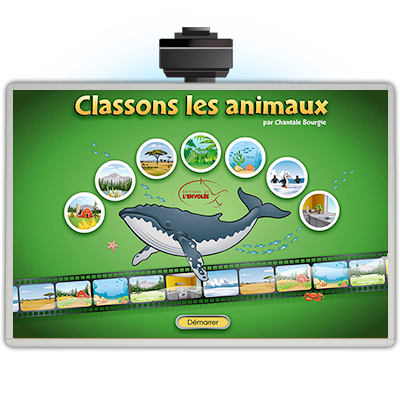 Classons les animaux