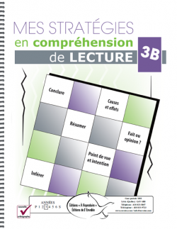 Mes stratégies en compréhension de lecture 3B